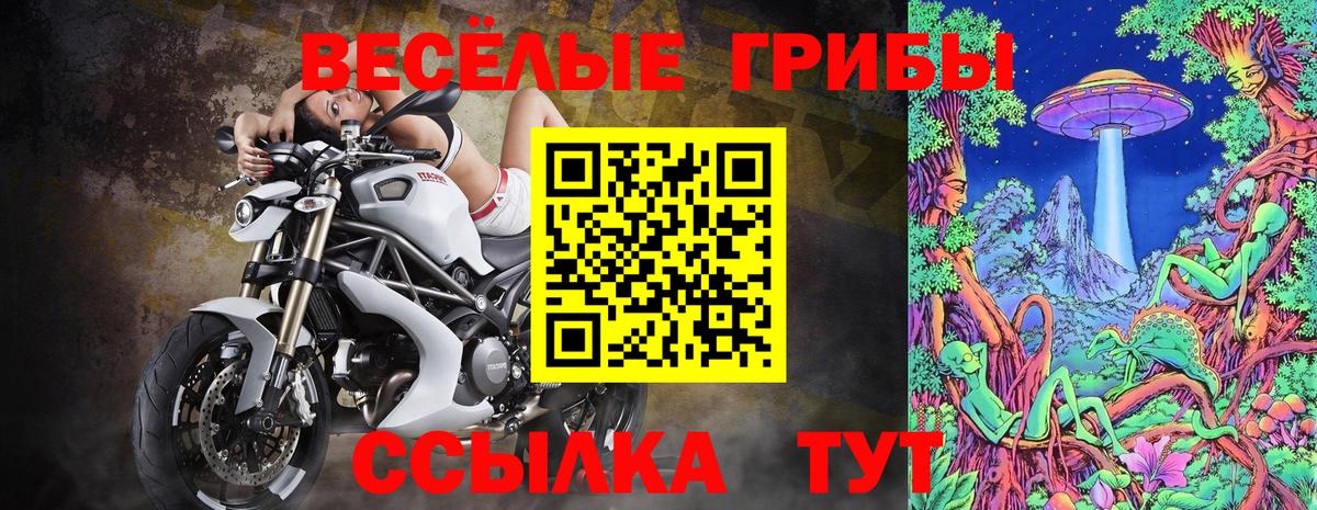 Псилоцибиновые грибы мухоморы Тулун