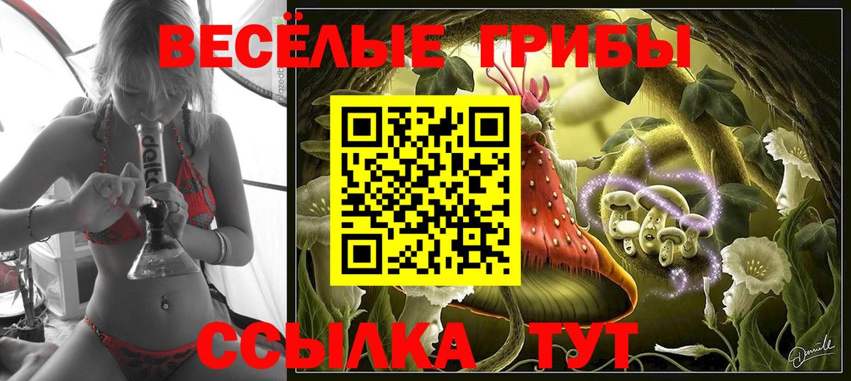 что такое наркотик  Вход с VPN  Тулун  Галлюциногенные грибы MAGIC MUSHROOMS 